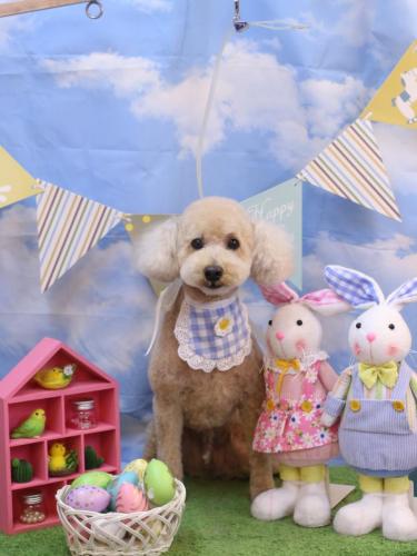 20240315モコくん